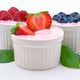 03174 hacer delicioso yogurt natural l