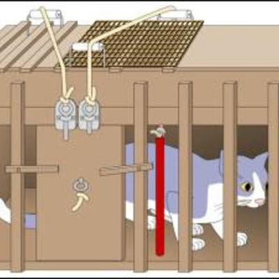 Timeline: Concepciones psicológicas del aprendizaje