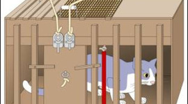 Timeline: Concepciones psicológicas del aprendizaje