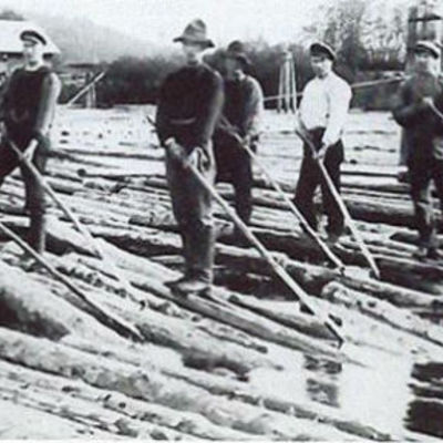 Timeline: Evolución laboral.