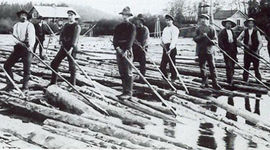 Timeline: Evolución laboral.