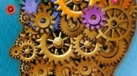 Timeline: DESARROLLO EVOLUTIVO NORMAL