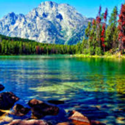 Timeline: linea del tiempo del internet