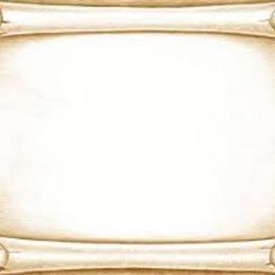 Timeline: Historia de las TICs