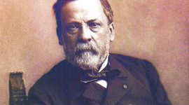 Timeline: לואי פסטר