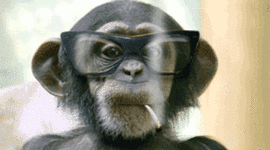 Timeline: Linea de Tiempo