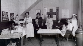 Timeline: Irelend Alexander & Health Care History