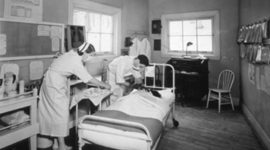 Timeline: Carly Frick Health Care History