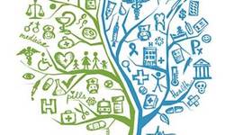 Timeline: Health History: Jafet Rios