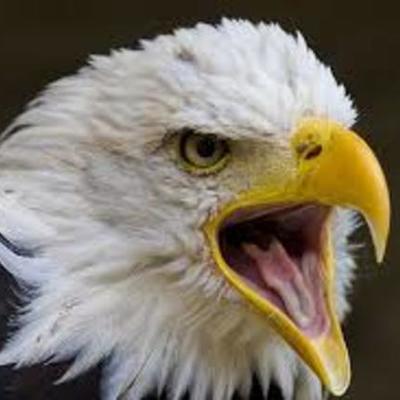 Timeline: 1301 Timeline Project