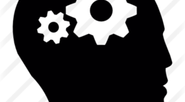 Timeline: Desarrollo evolutivo atencional, percepción visual y funciones ejecutivas.