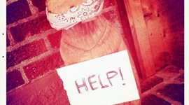 Timeline: Beaver For Ransom