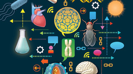 Timeline: DESCUBRIMIENTOS CIENTÍFICOS MAS IMPORTANTES