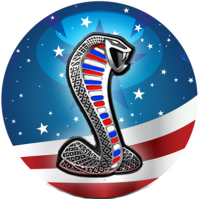 Timeline: Red White and Blue Party