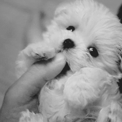 Timeline: lista de mi vida