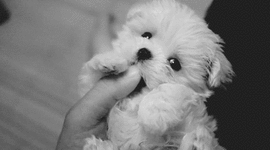 Timeline: lista de mi vida