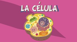 Timeline: TEORÍA CELULAR