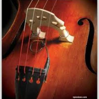 Timeline: evolution of the standing bass