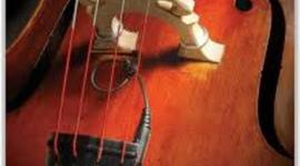 Timeline: evolution of the standing bass