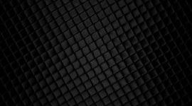 Timeline: Timeline Activity