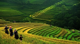 Timeline: Moderne Geschiedenis van Azië