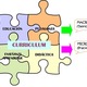 Educa2