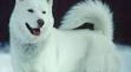 Timeline: History class Timeline 2017-2018