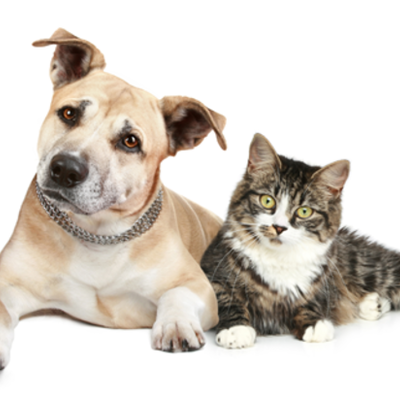 Timeline: HUELLASPORCOLOMBIA