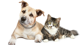 Timeline: HUELLASPORCOLOMBIA