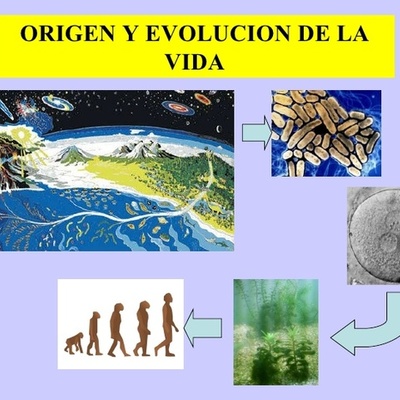 Timeline: Evolucion