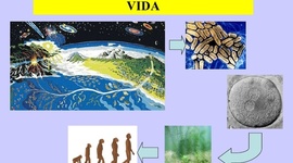 Timeline: Evolucion