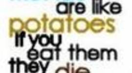 Timeline: Emily&Laurie