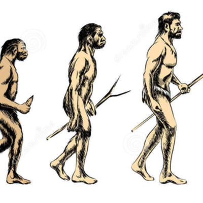 Timeline: Evolución a través del tiempo