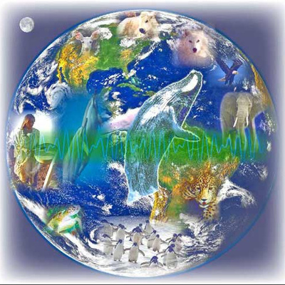 Timeline: LOS ANIMALES.