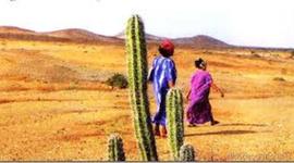 Timeline: Recorrido Cultural, Conociendo a la dama refinada de Colombia ¨La Guajira¨