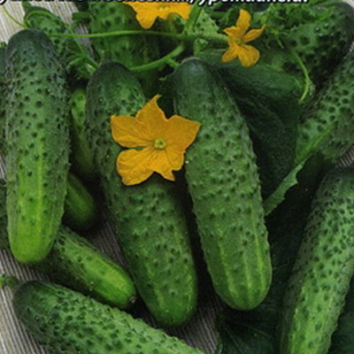 Timeline: Развитие растений