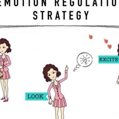 Timeline: Risk, Regulation and Influence