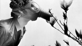 Timeline: Eerste Wake Up Call 1970-1987