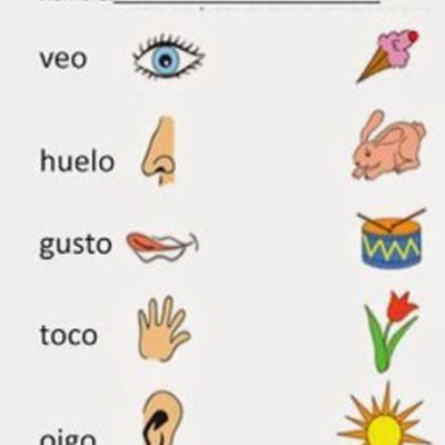 Timeline: LOS SENTIDOS