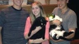 Timeline: Pre-civil war