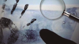 Timeline: CIENCIA E INFORMÁTICA FORENSE