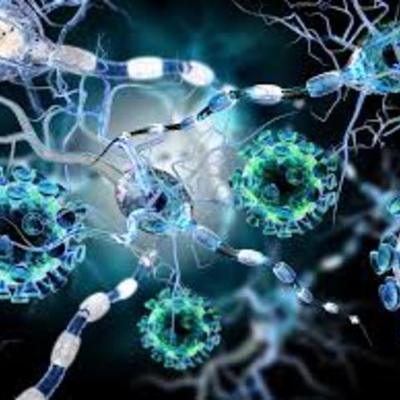 Timeline: Cazadores de Microbios: Sebastián Cevallos M.