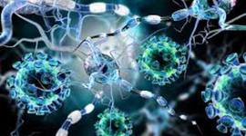 Timeline: Cazadores de Microbios: Sebastián Cevallos M.