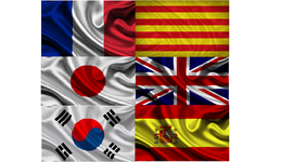 Timeline: My Language Learning Timeline