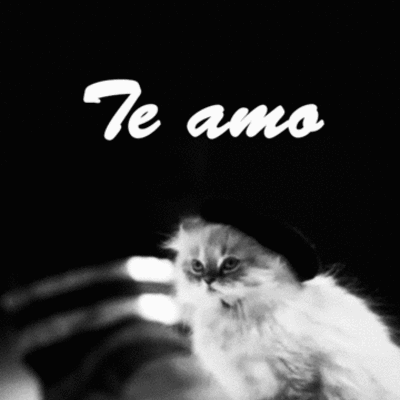 Timeline: MI VIDA EN MUSICA