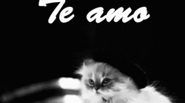 Timeline: MI VIDA EN MUSICA