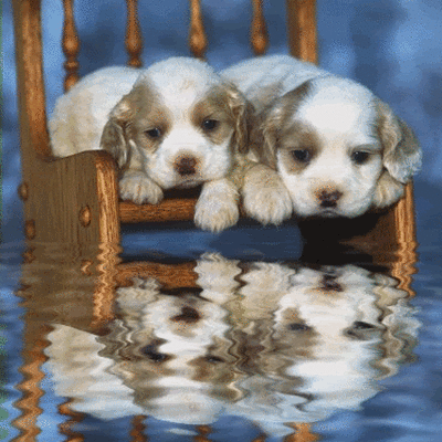 Timeline: Mi vida en música