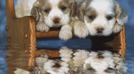 Timeline: Mi vida en música