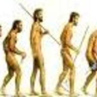 Timeline: Evolución de la calidad.