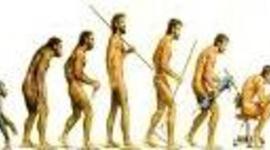 Timeline: Evolución de la calidad.